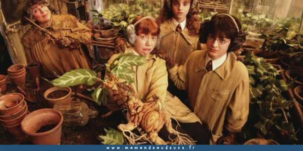 10 idées de cadeaux originaux pour ceux qui ont la main verte... ou pas !