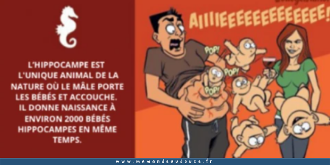 Et si nous accouchions de la même façon que certains animaux de la nature ?