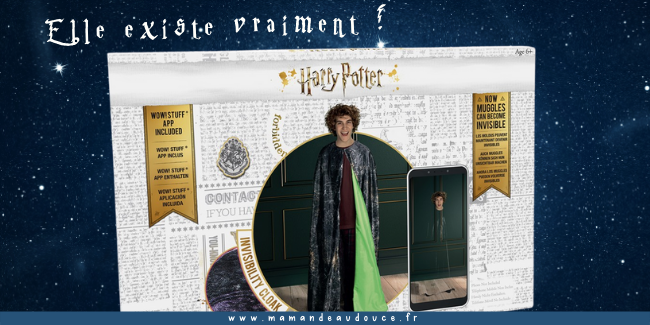 25 idées cadeaux originaux pour les fans d'Harry Potter !